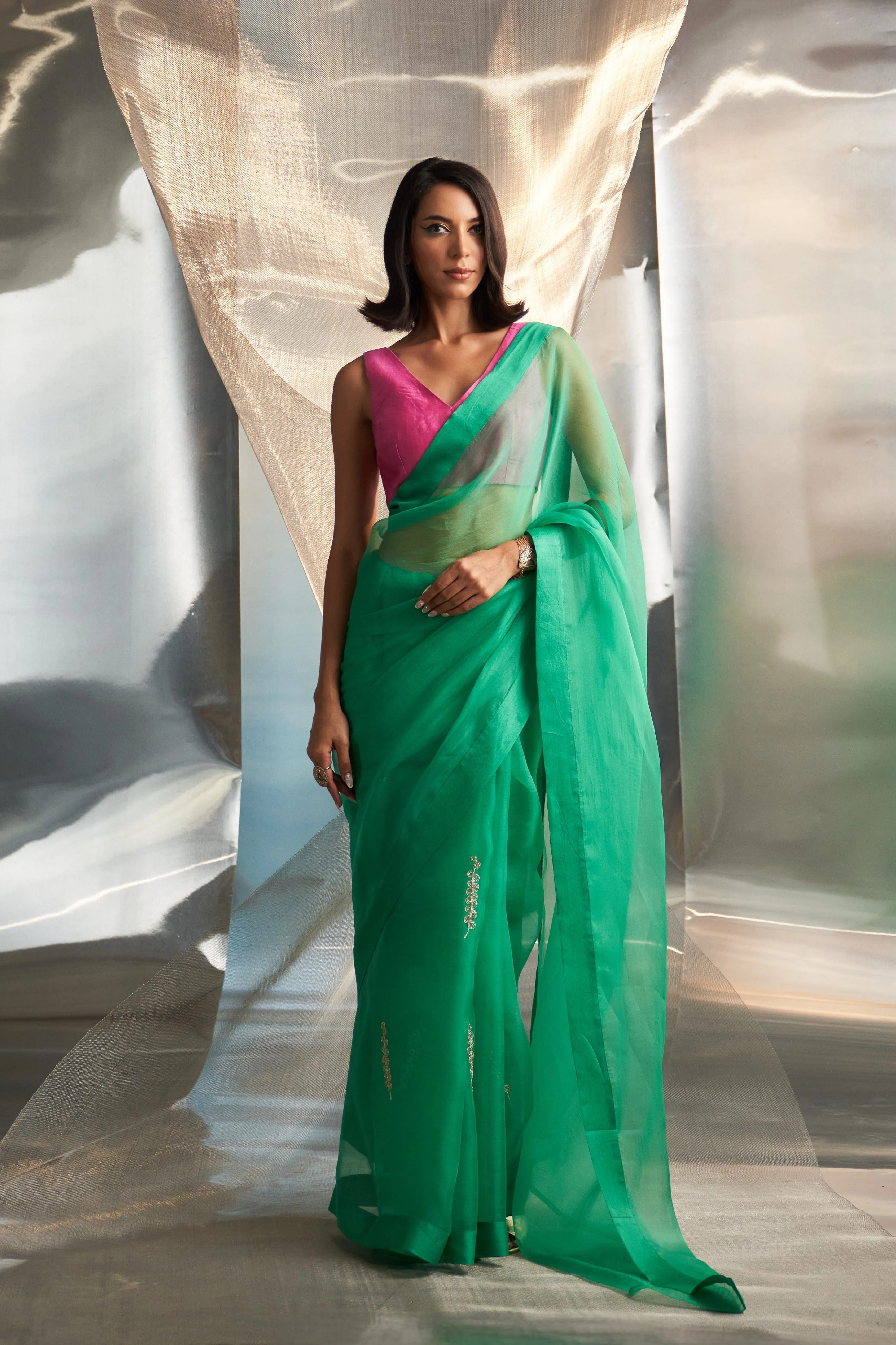 miSr Embroidered Organza Saree With Sleeveless Contrast Blouse