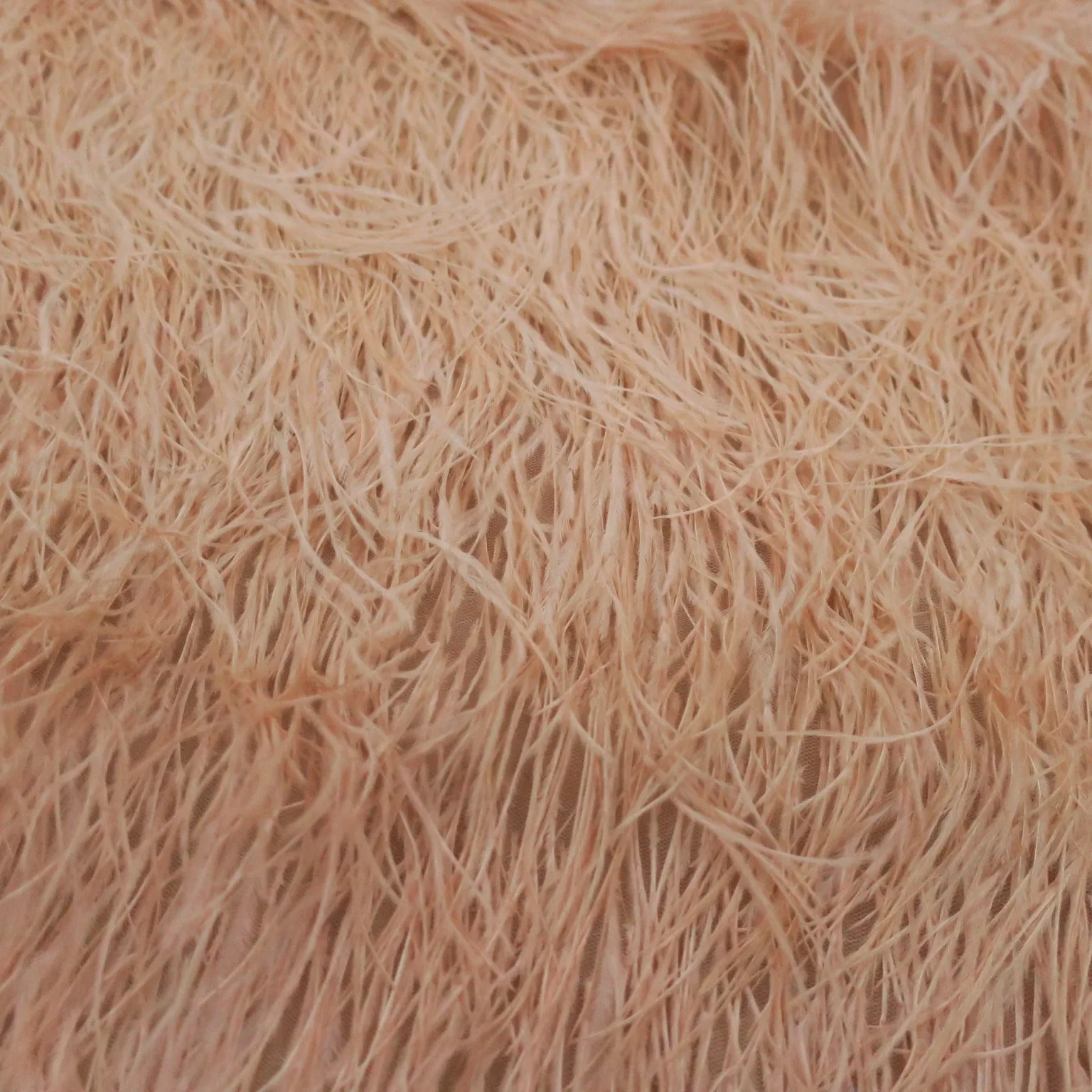 Peach Feathered Embroidered Lace Fabric