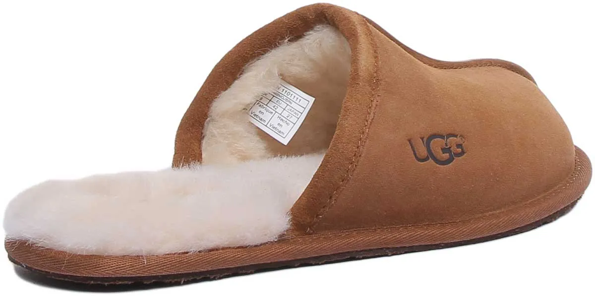 Ugg Australia M Scuff In Chestnut